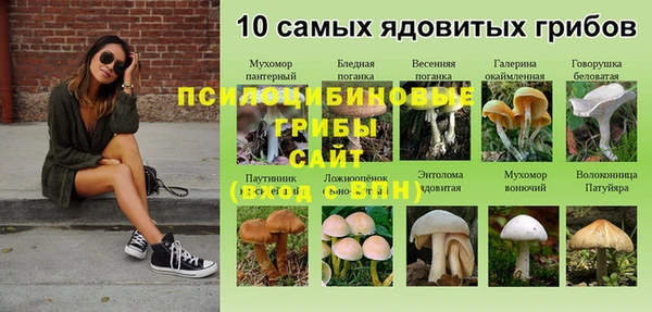 мдпв Пестово